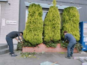 冬の前に樹木伐採・剪定はいかがですか？